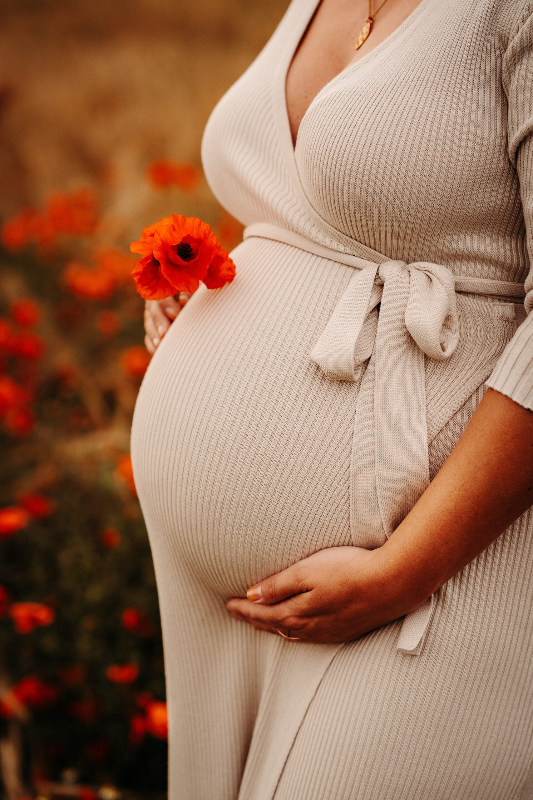 A pregnant female standing among blooming poppy field